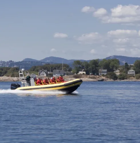 Gdansk RIB POWER BOATS